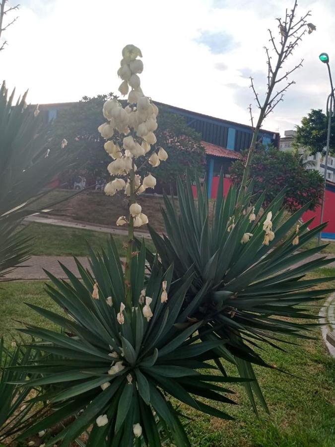 Apartamento Mobiliado 10 Minutos Da Praia Do Forte Cabo Frio Bagian luar foto